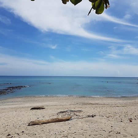 Вілла Pura Vida House Cabo Blanco Нікоя Екстер'єр фото